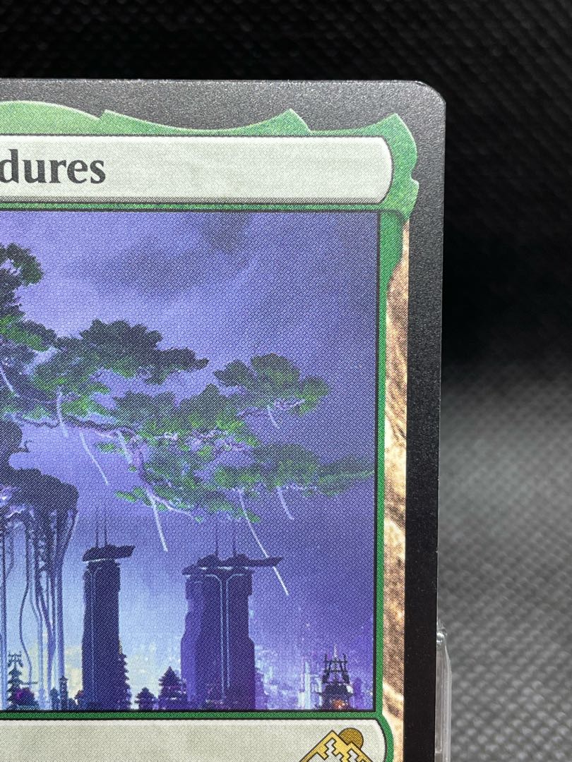 [EN]What endures, Mother Sacred Tree
