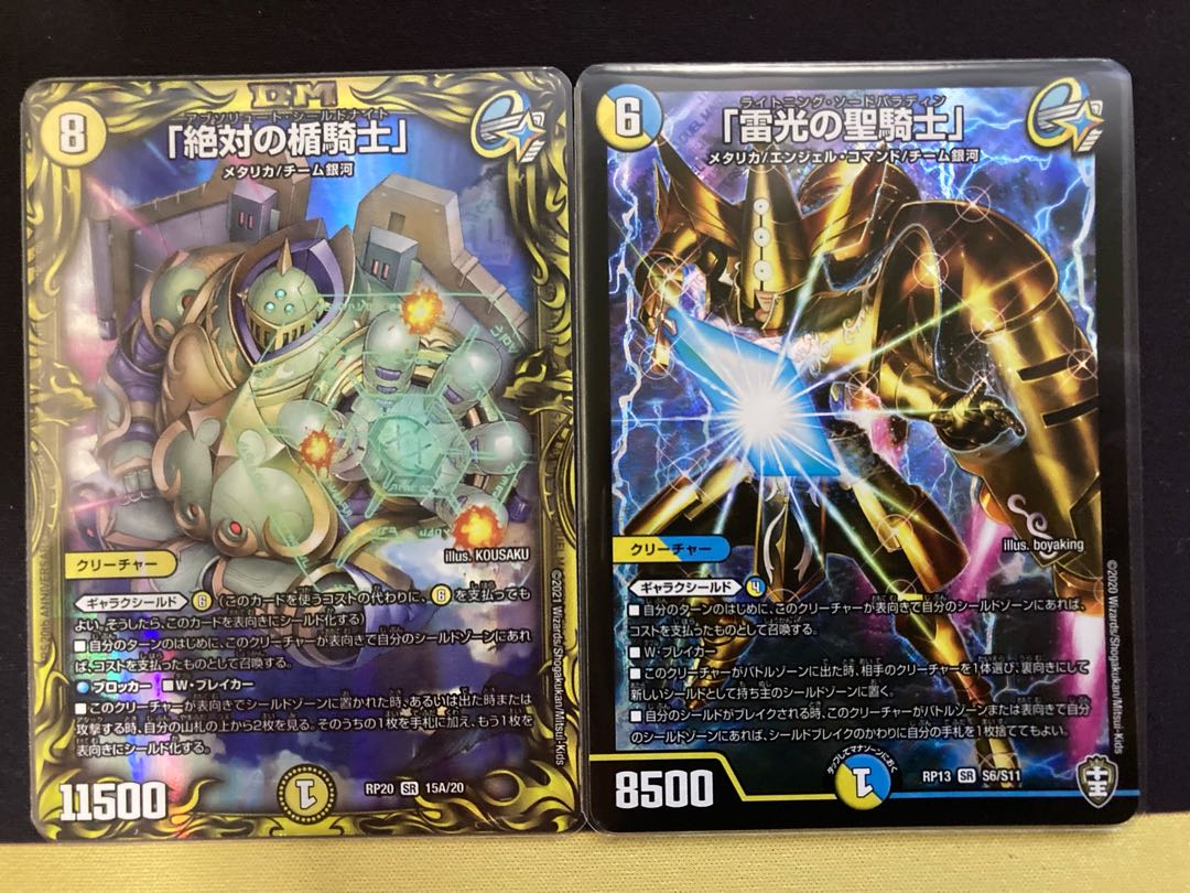 Lightning light holy knight, absolute shield knight