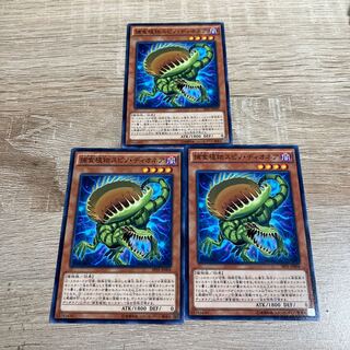Yu-Gi-Oh Predaplant Spinodionaea