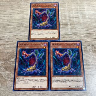 遊戯王　捕食植物コーディセップス