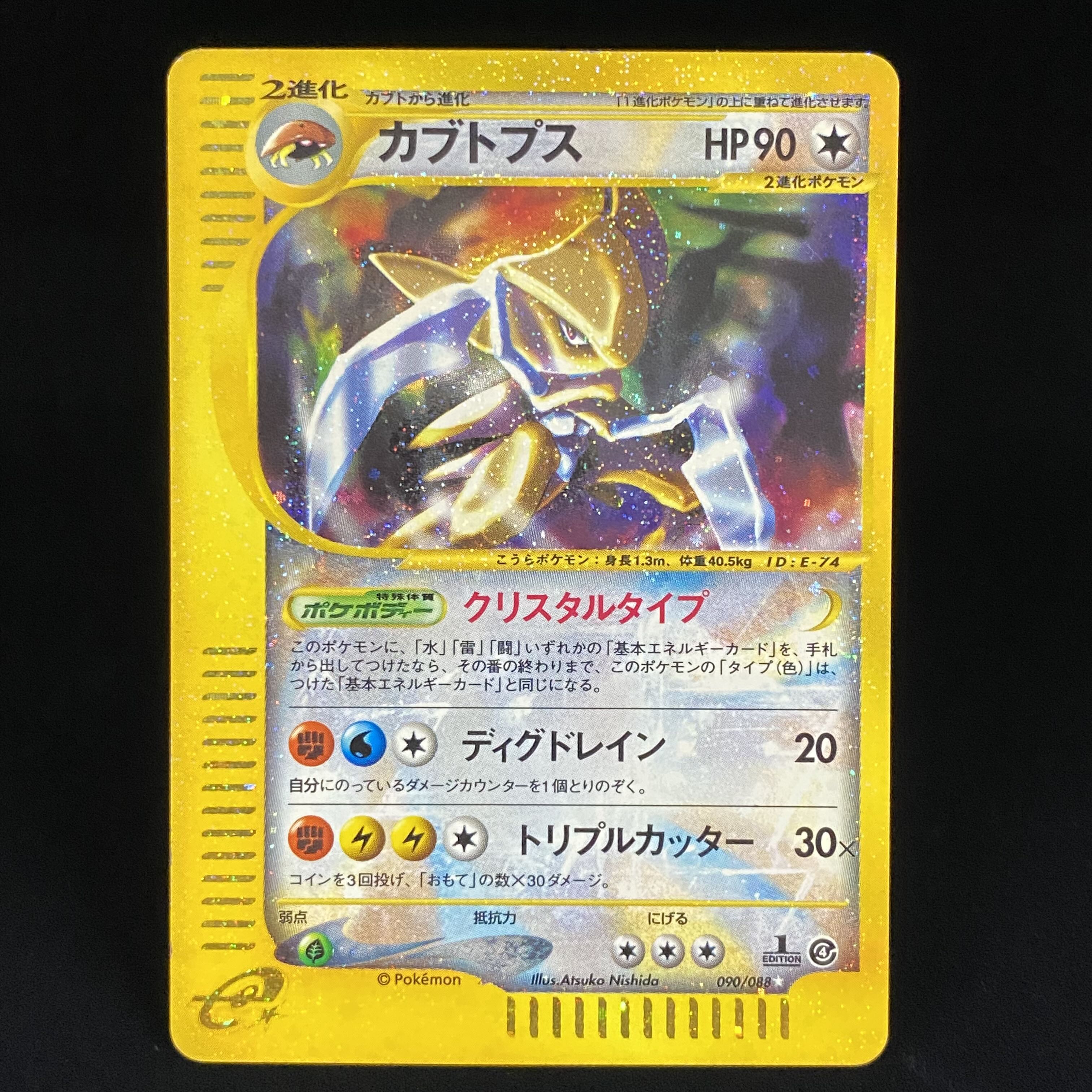 Kabutops e Kira 1st Ku Squirrel Taru Type