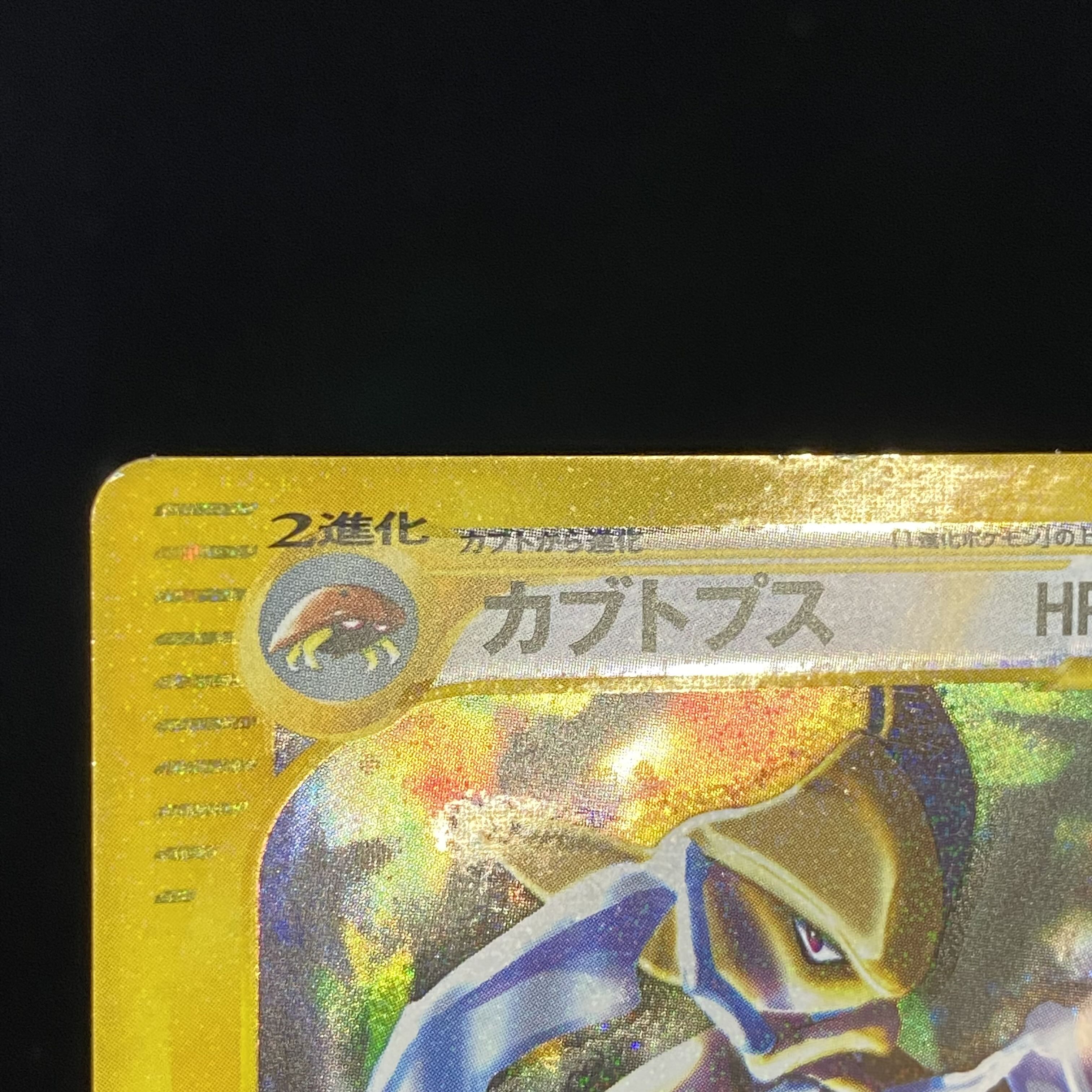 Kabutops e Kira 1st Ku Squirrel Taru Type