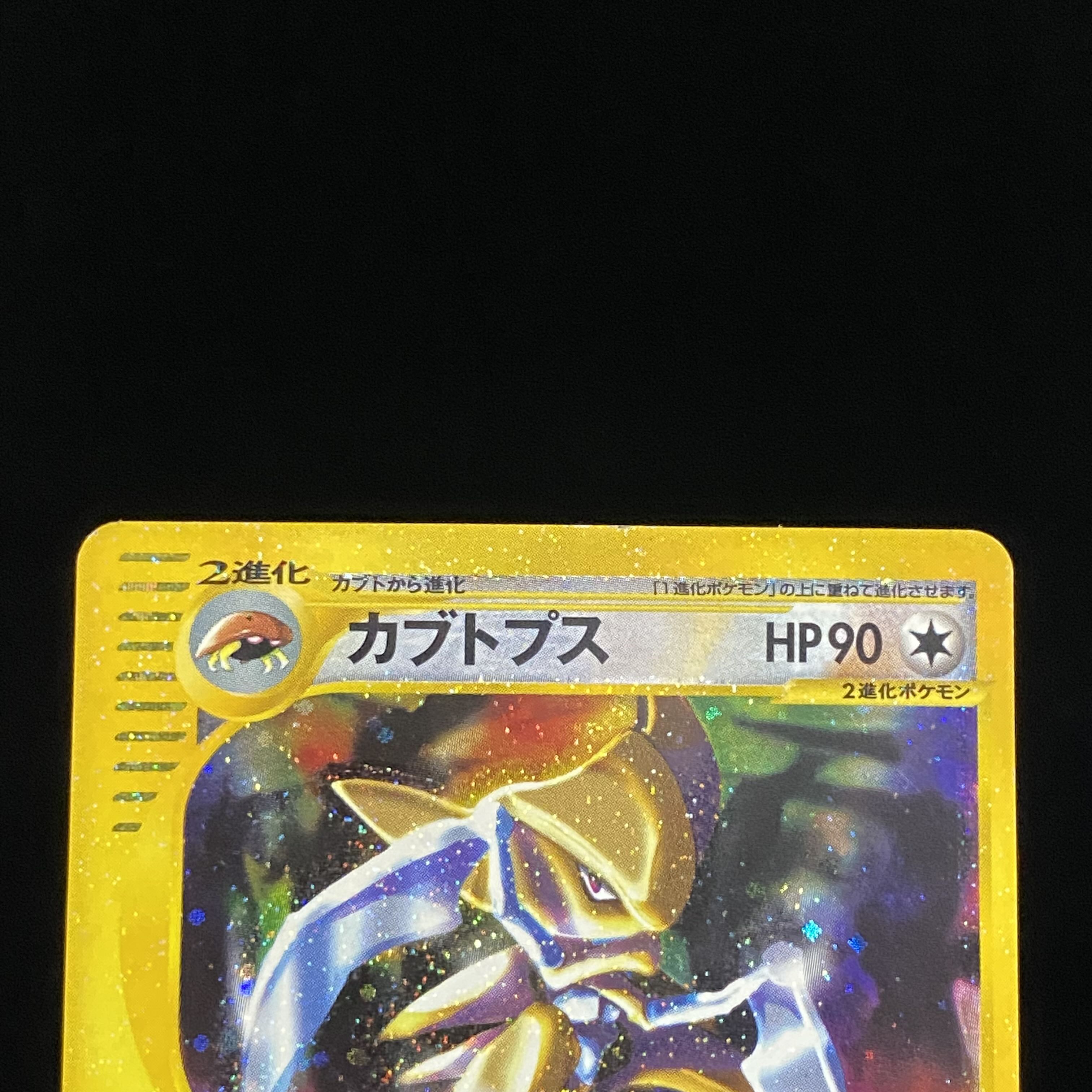 Kabutops e Kira 1st Ku Squirrel Taru Type