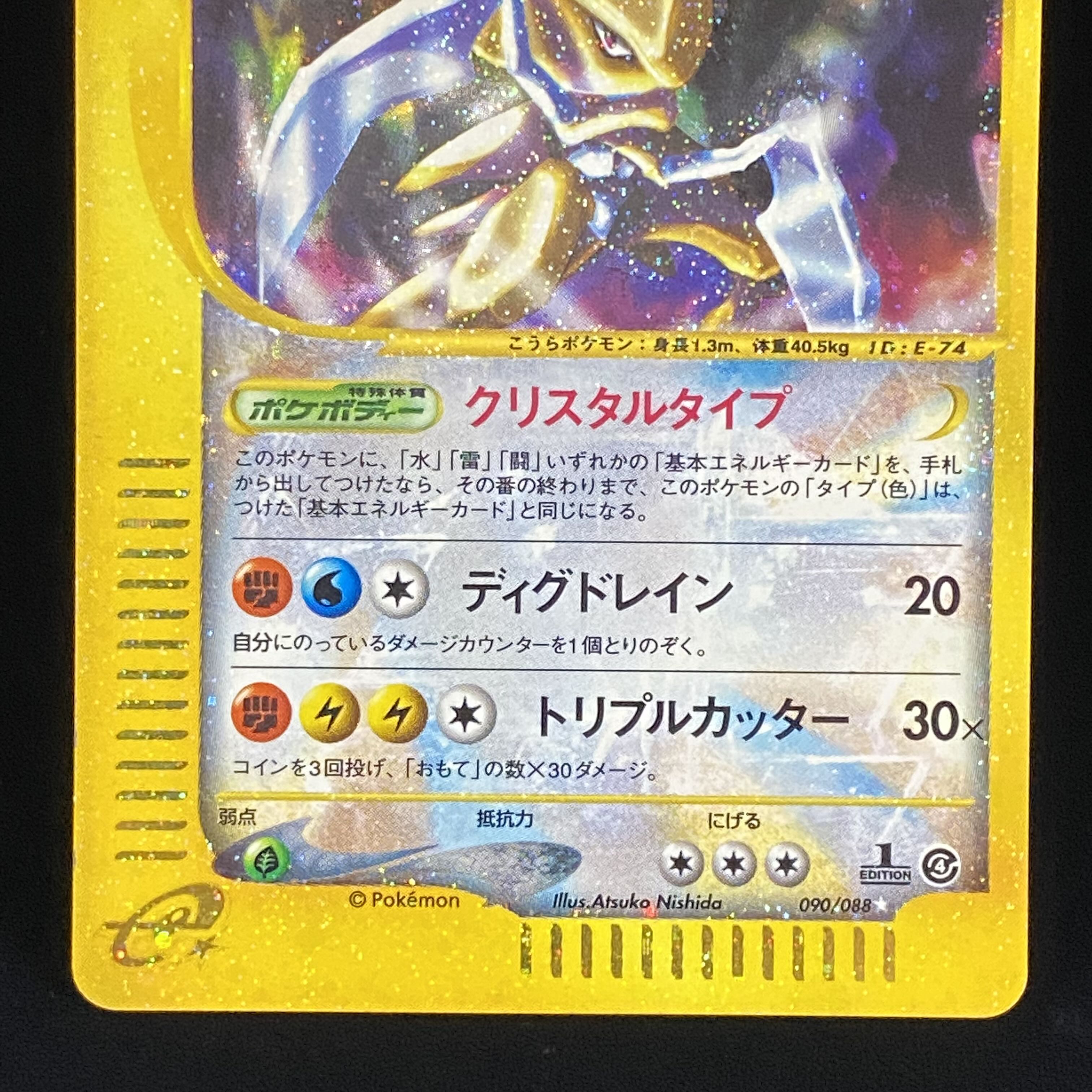 Kabutops e Kira 1st Ku Squirrel Taru Type