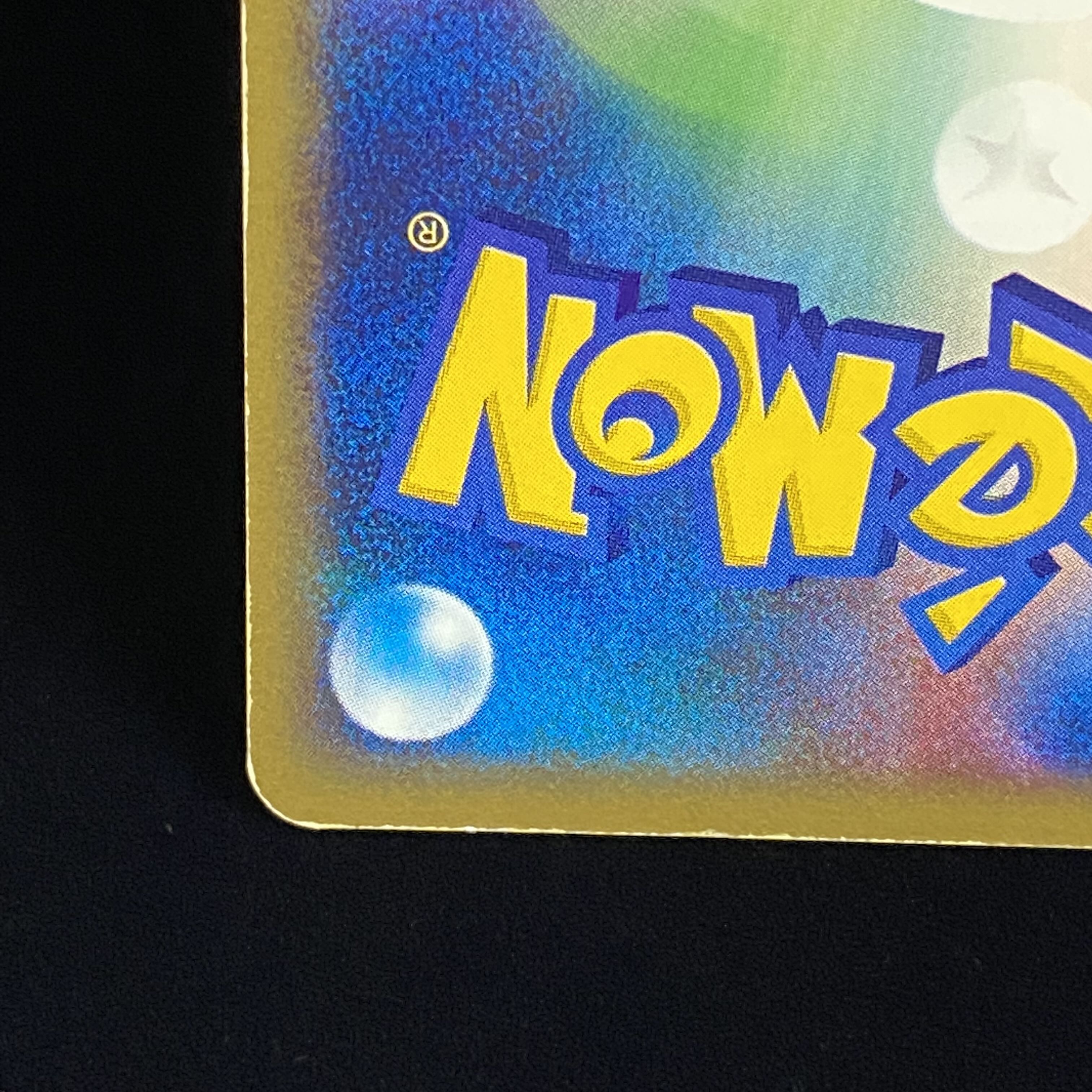 Kabutops e Kira 1st Ku Squirrel Taru Type