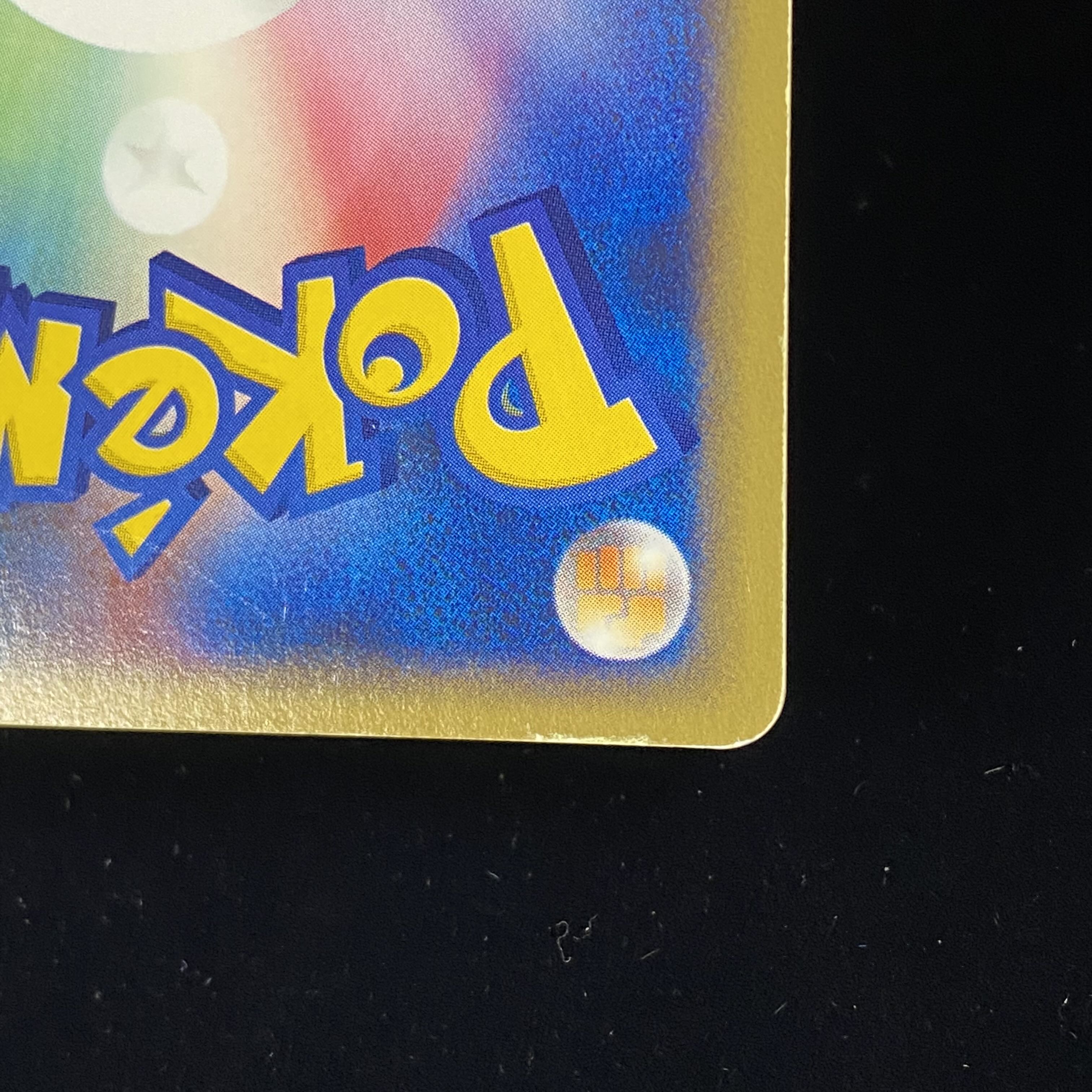 Kabutops e Kira 1st Ku Squirrel Taru Type