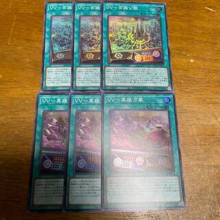 ＶＶ－真羅万象  ＶＶ－百識公国　スーパーレア　各3枚