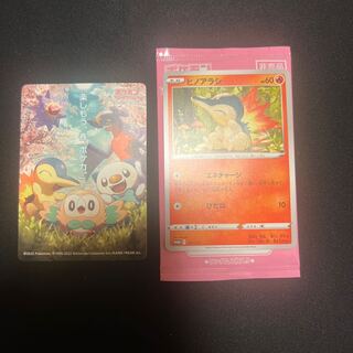 Let's have fun. Spring, Pokeka" Cyndaquil Spring Pokeka