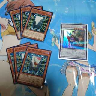 Hanafuda Ei] Card set ①.