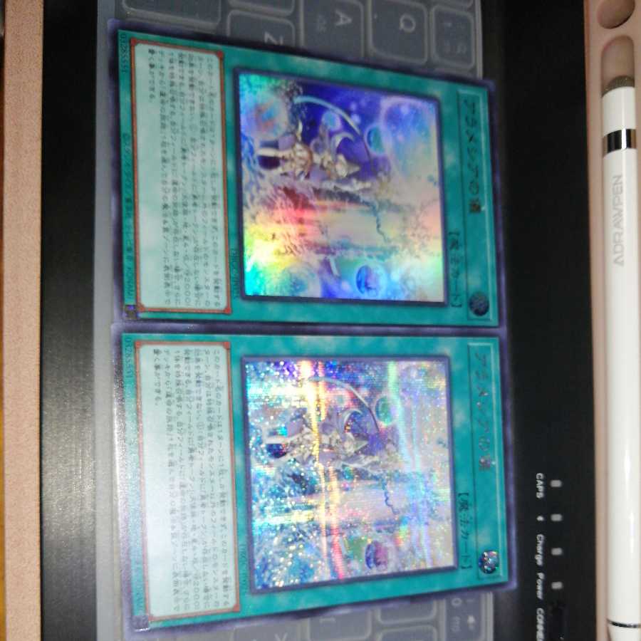 Alamecia Ceremony Secret