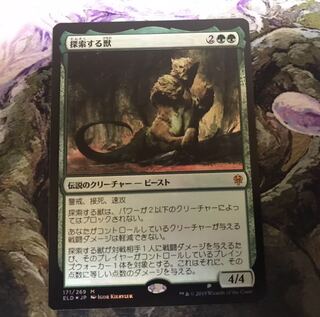 探索する獣　foil