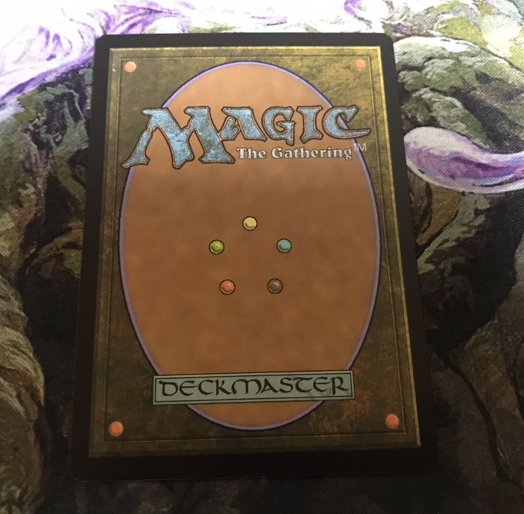 探索する獣　foil