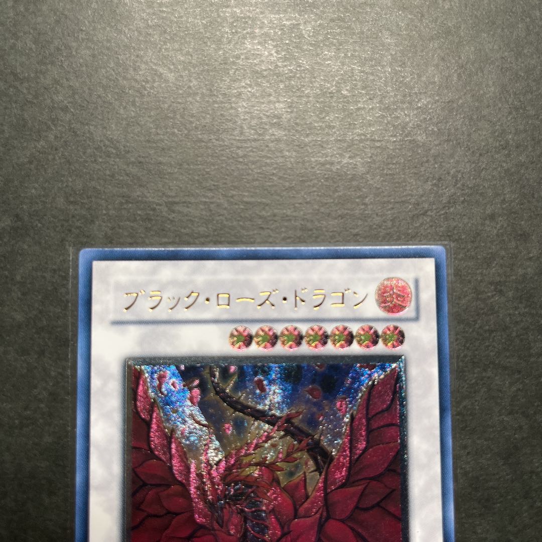 【良品】ブラック・ローズ・ドラゴン　レリーフ