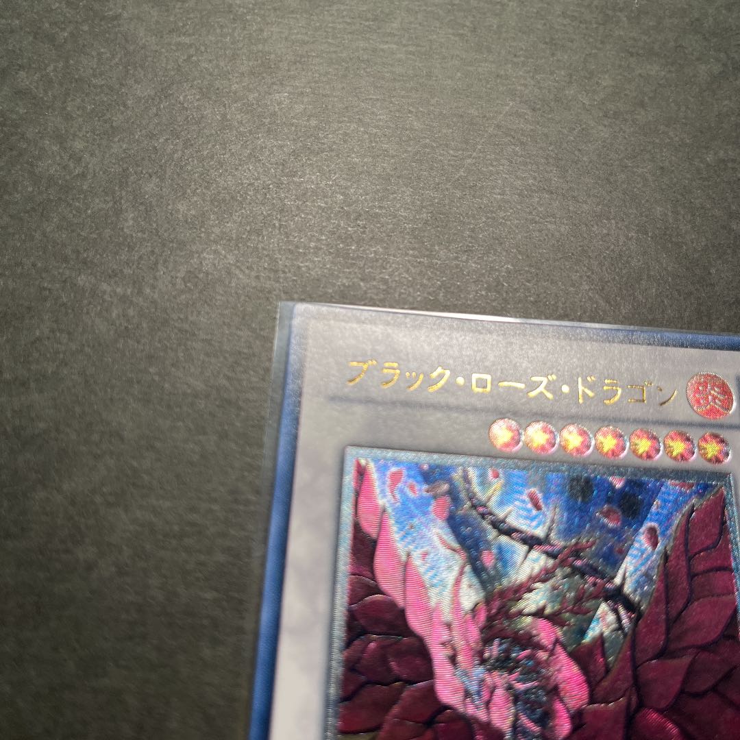 【良品】ブラック・ローズ・ドラゴン　レリーフ