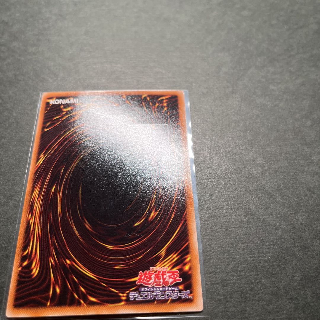 【良品】ブラック・ローズ・ドラゴン　レリーフ