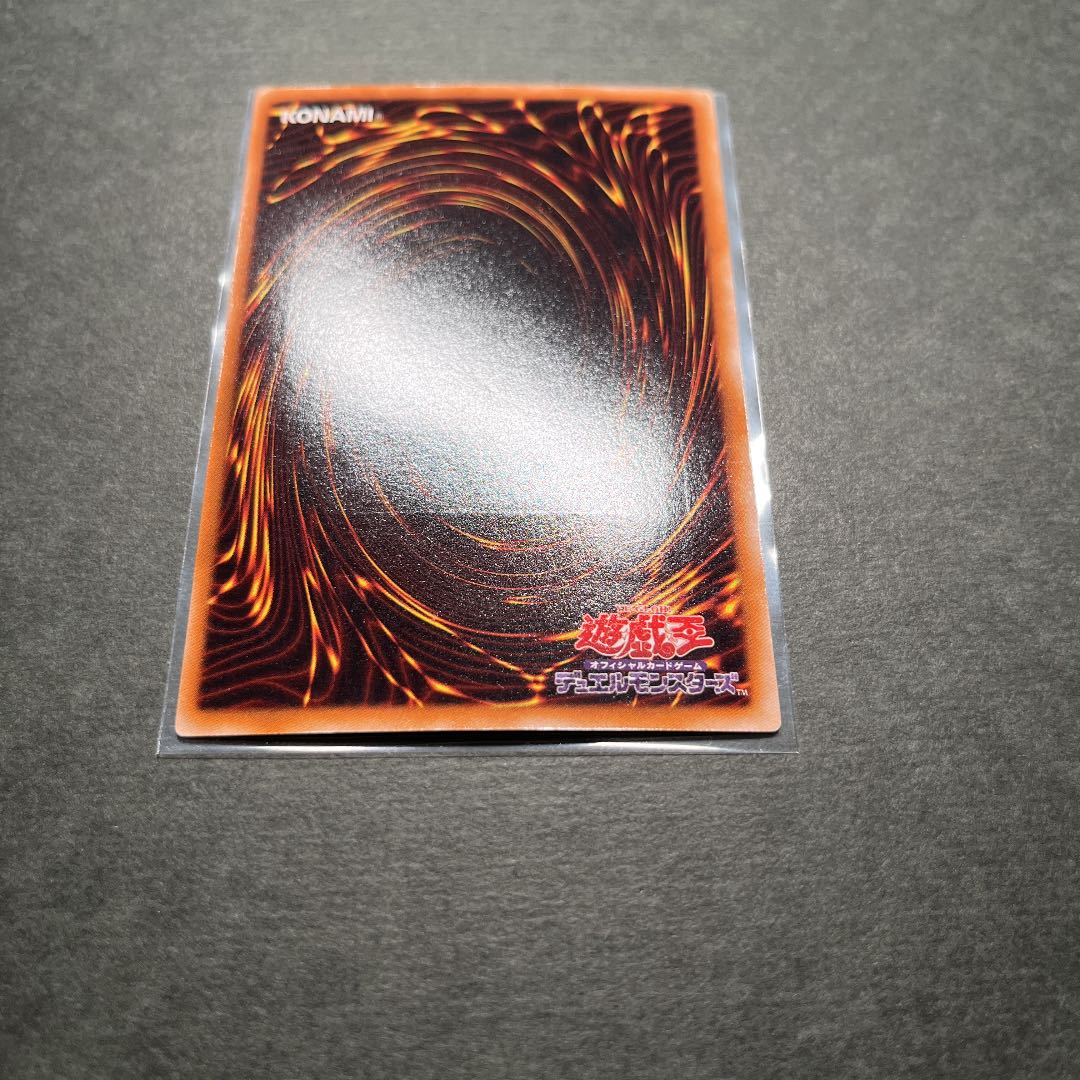 【良品】ブラック・ローズ・ドラゴン　レリーフ