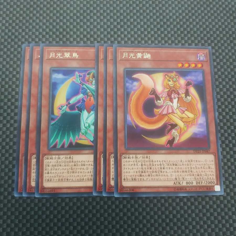 Salmon Salmon roe store 672 Lunalight Yellow Marten, Lunalight Emerald Bird 3 each