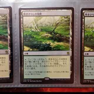 ★Junoさま専用★吹きさらしの荒野 2枚セット