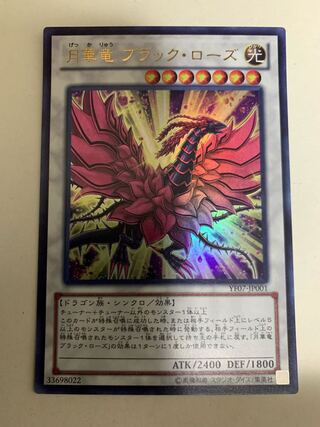 Black Rose Moonlight Dragon