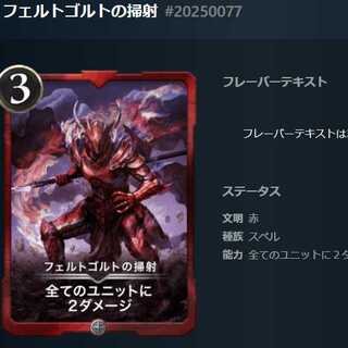 フェルトゴルトの掃射 #20250077