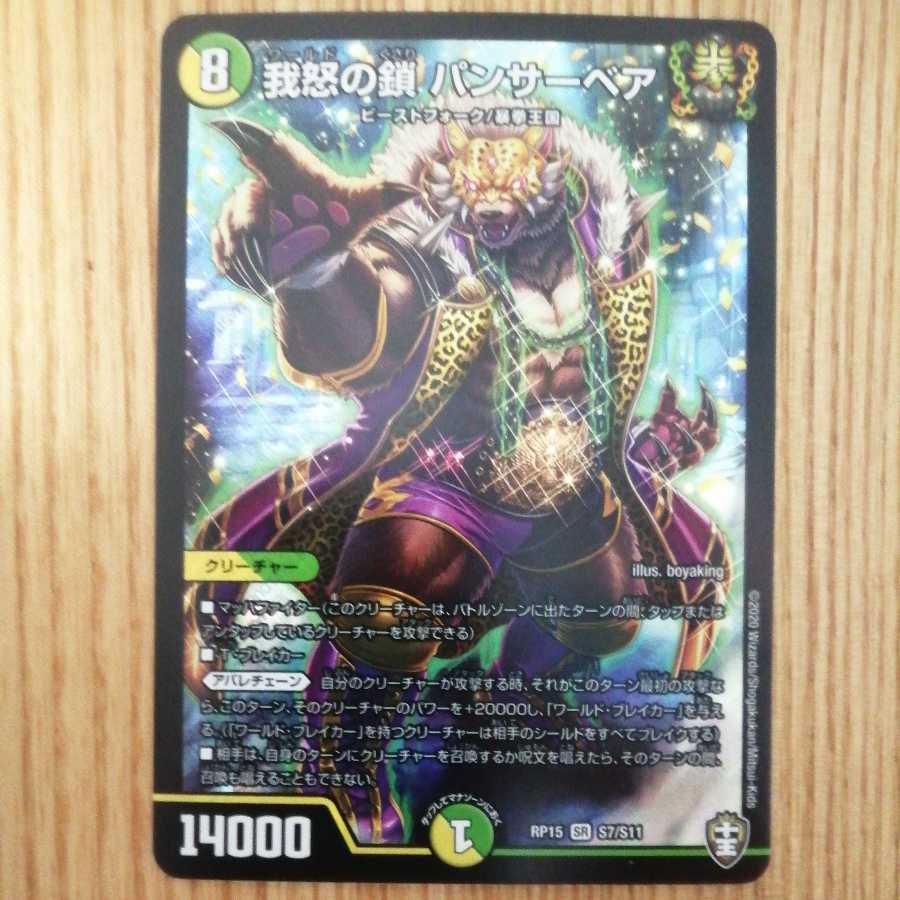 Chains of My Anger Panther Bear