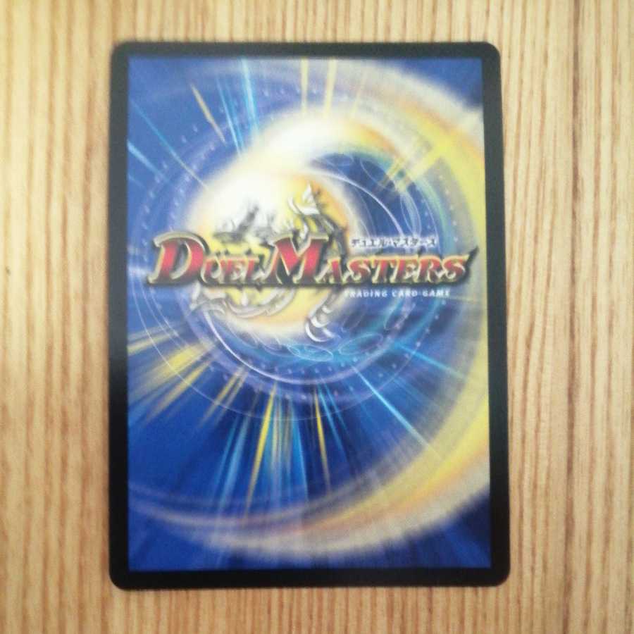 Chains of My Anger Panther Bear