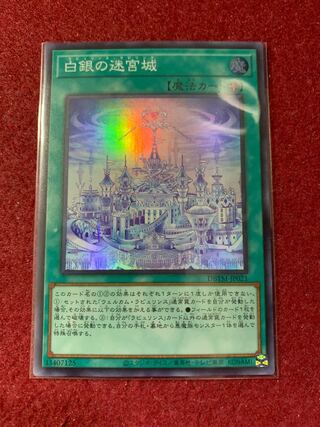 Labyrinth Castle of White and Silver