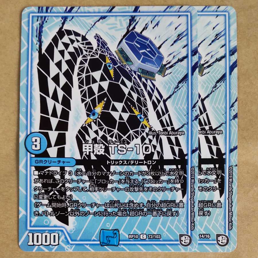 Carapace TS-10 2 sheets