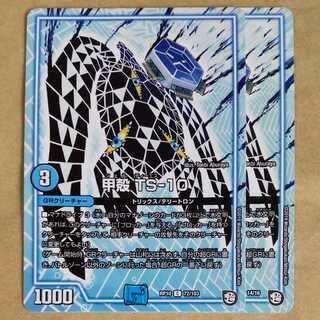 Carapace TS-10 2 sheets