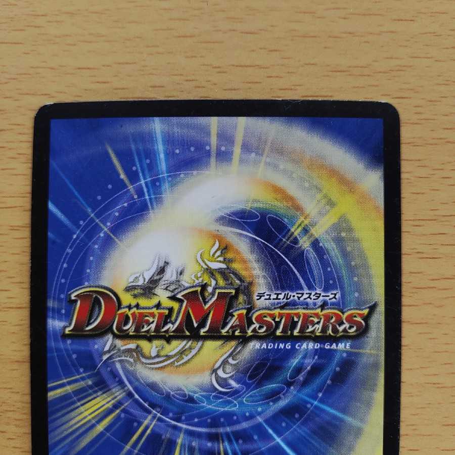 Knight of the Shield of the Absolute."