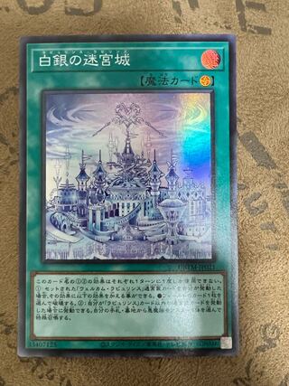 Labyrinth Castle of White and Silver