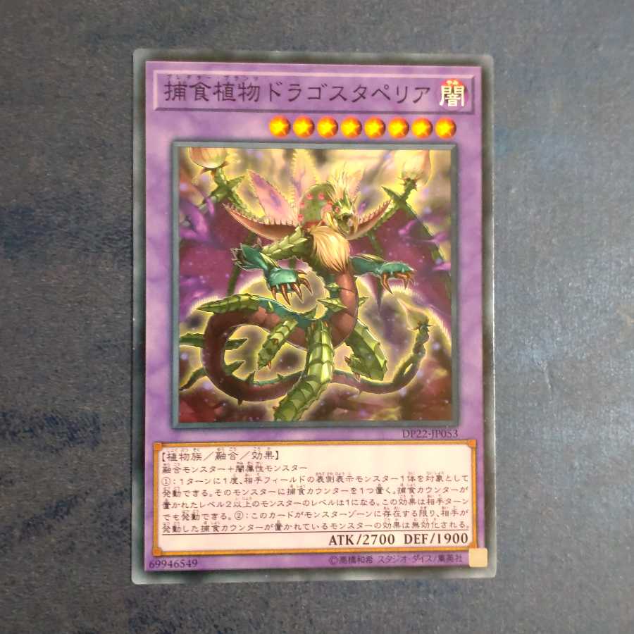 Predaplant Dragostapelia [Mokurindo