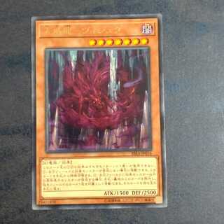 Tenweiryu Vishuddha [Korindo].