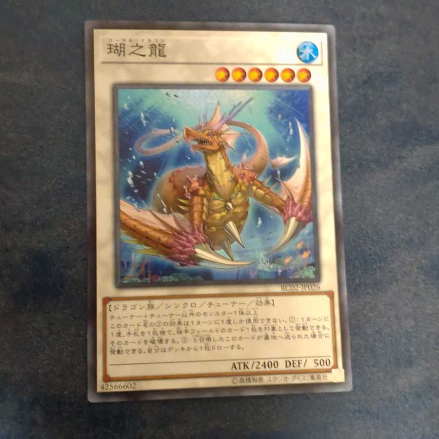 瑚之龍 【木林堂】