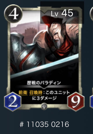 歴戦のパラディン