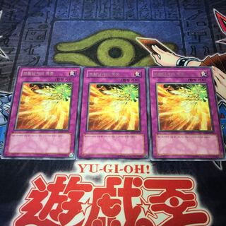 Rare 3-piece set] Windstorm of Phoenix Wings [Genuine Outside Umi 3枚