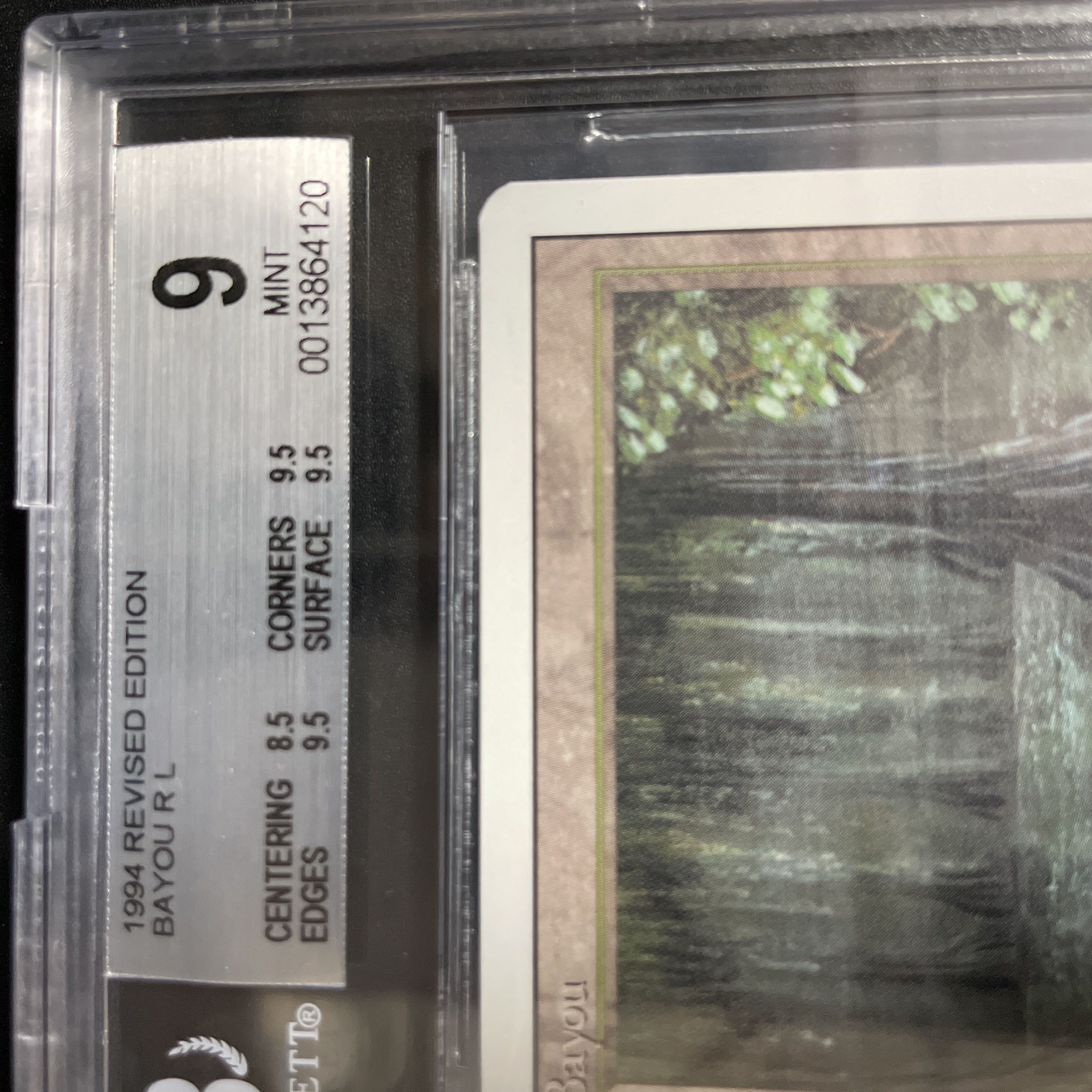 Bayou 3ED BGS9