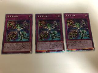 Soul of the Supreme Dragon, Prisma, Set of 3, Prisik.