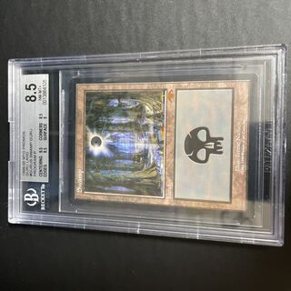 Swamp GURU BGS8.5 1枚