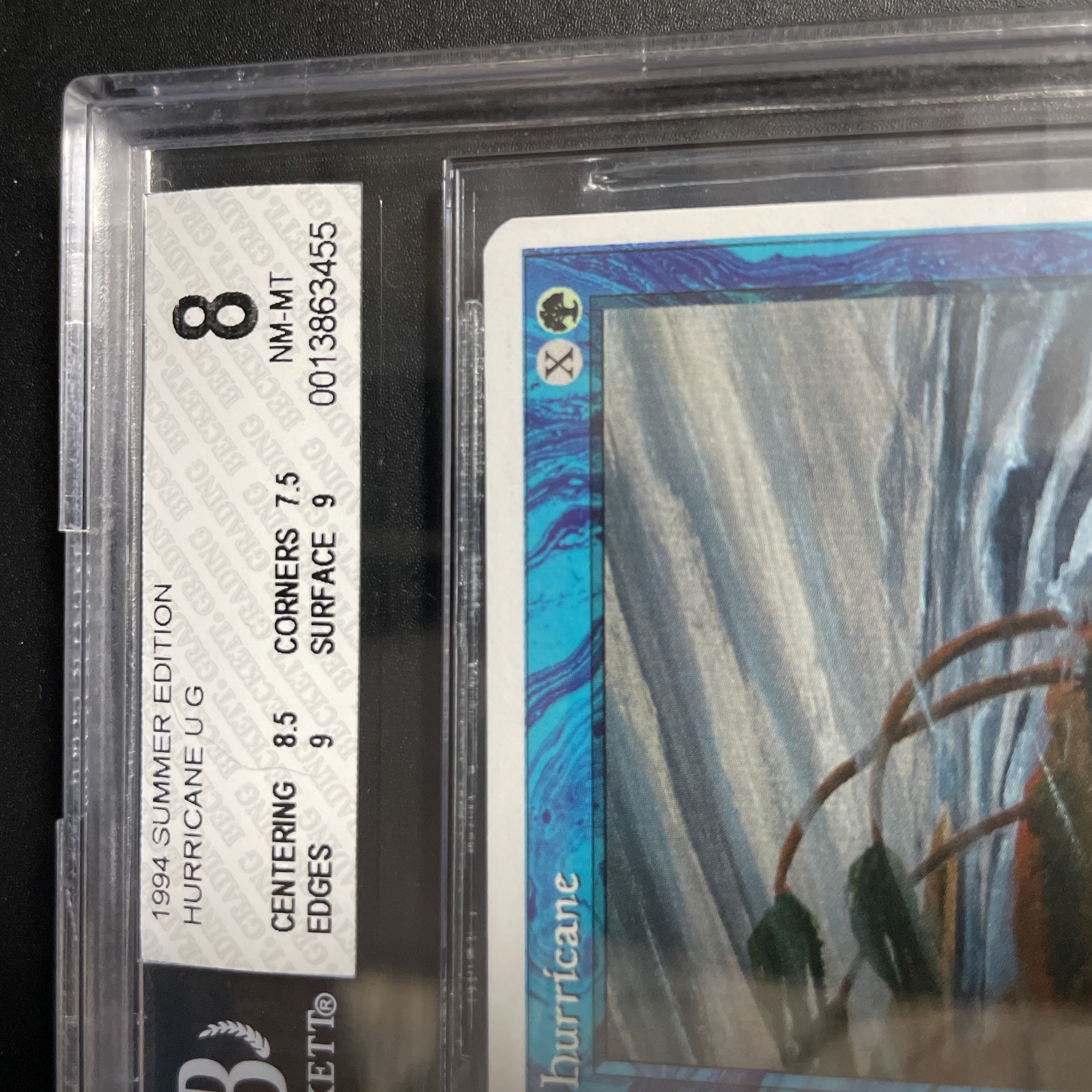 MTG 山 サマー PSA8 APAC3)《山/Mountain》(Illus.Edward P.Beard Jr.)[APACランド