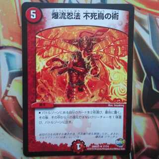 爆流忍法 不死鳥の術