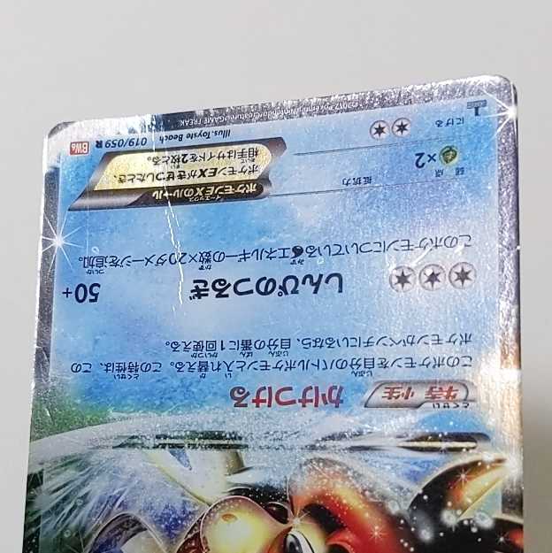 【ヒエン様専用】 1枚