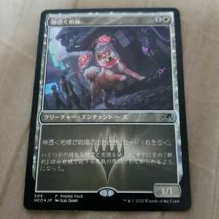 mtg god-possessing partner promo foil