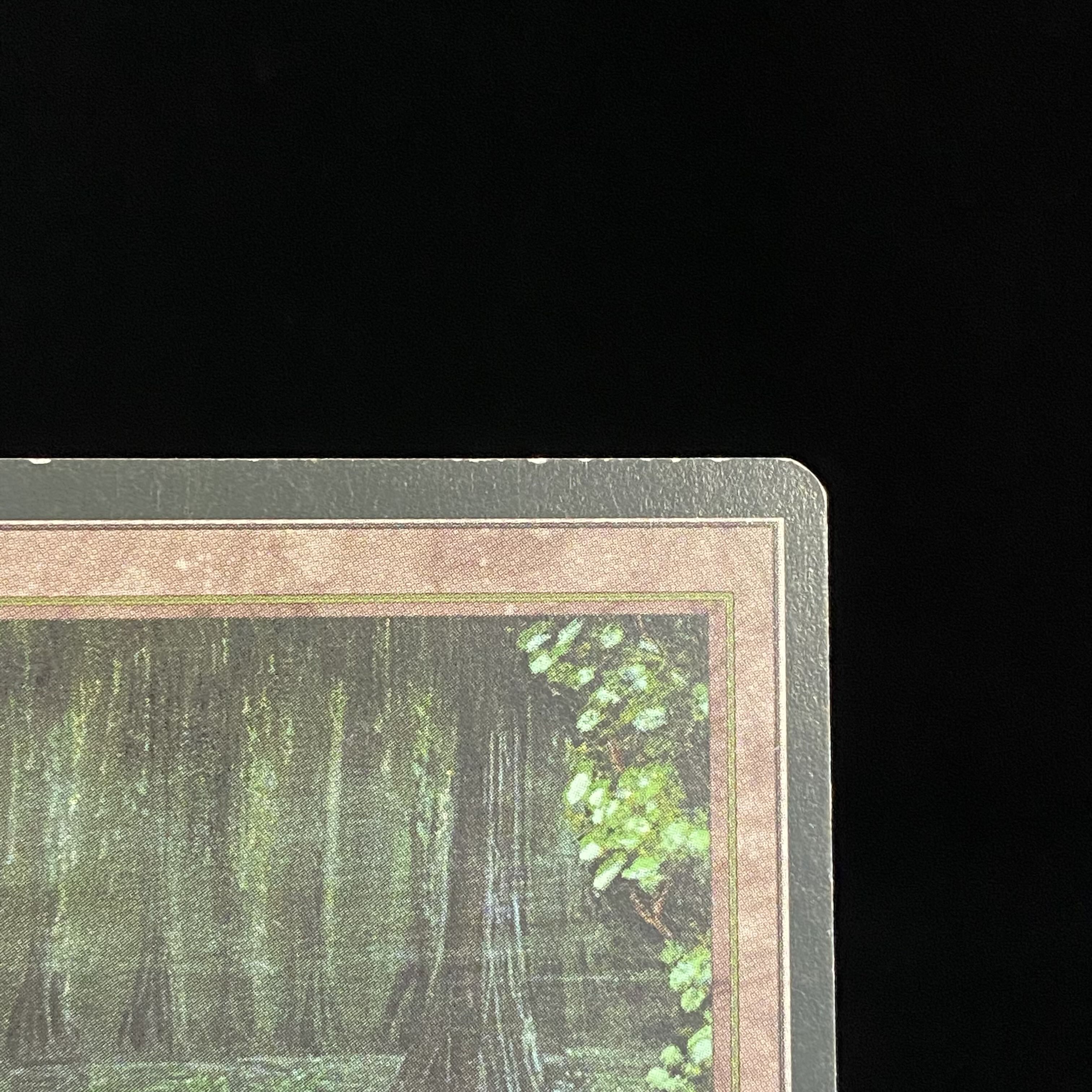 Bayou Rare 3ED (FBB) (France)