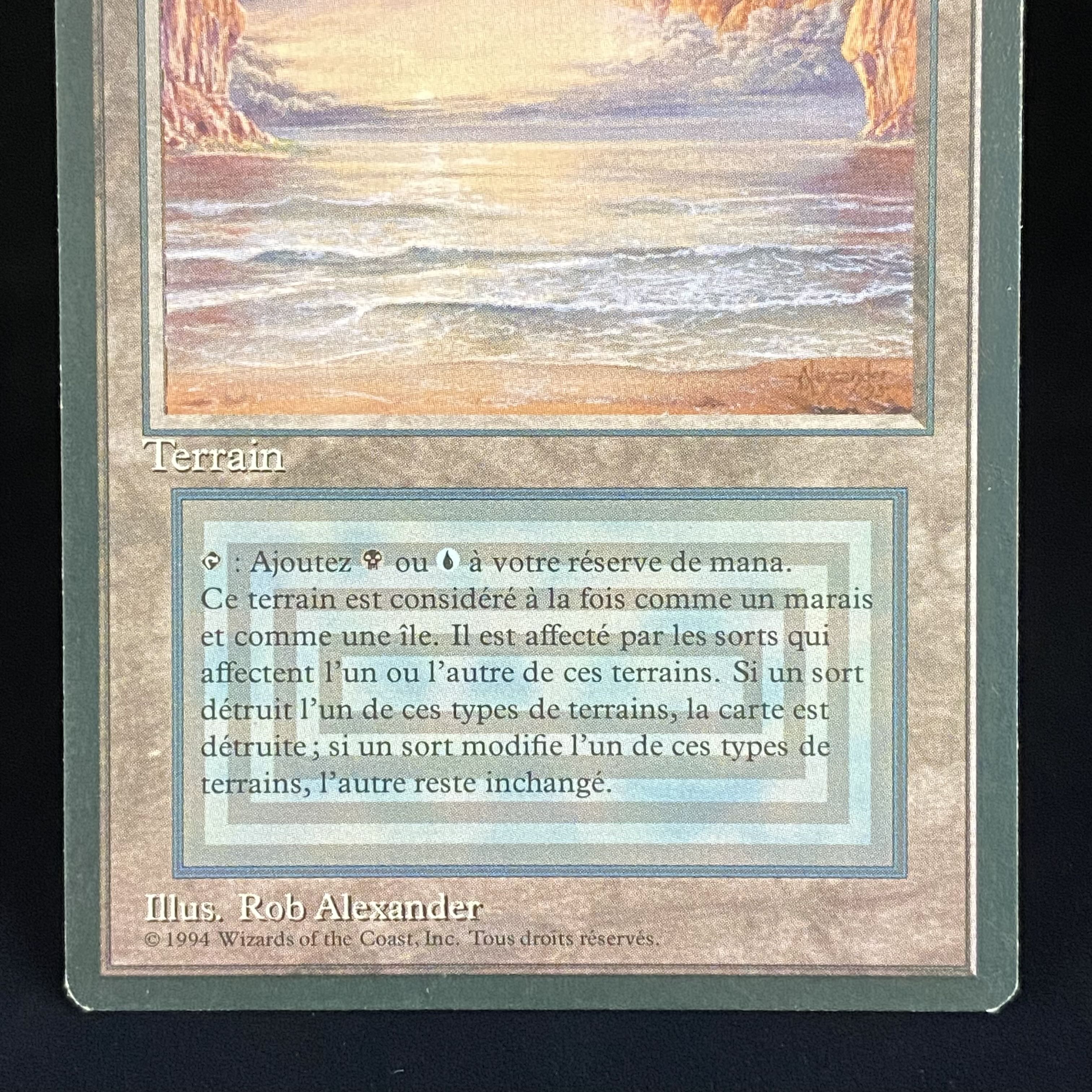 Underground Sea レア 3ED (FBB) (仏) 1枚