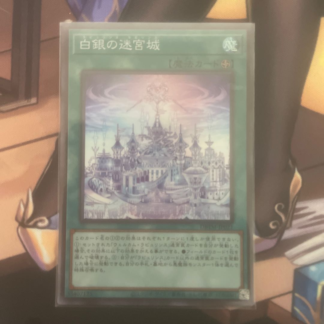 白銀の迷宮城