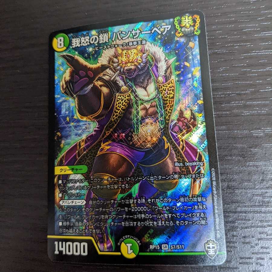 Chains of My Anger Panther Bear