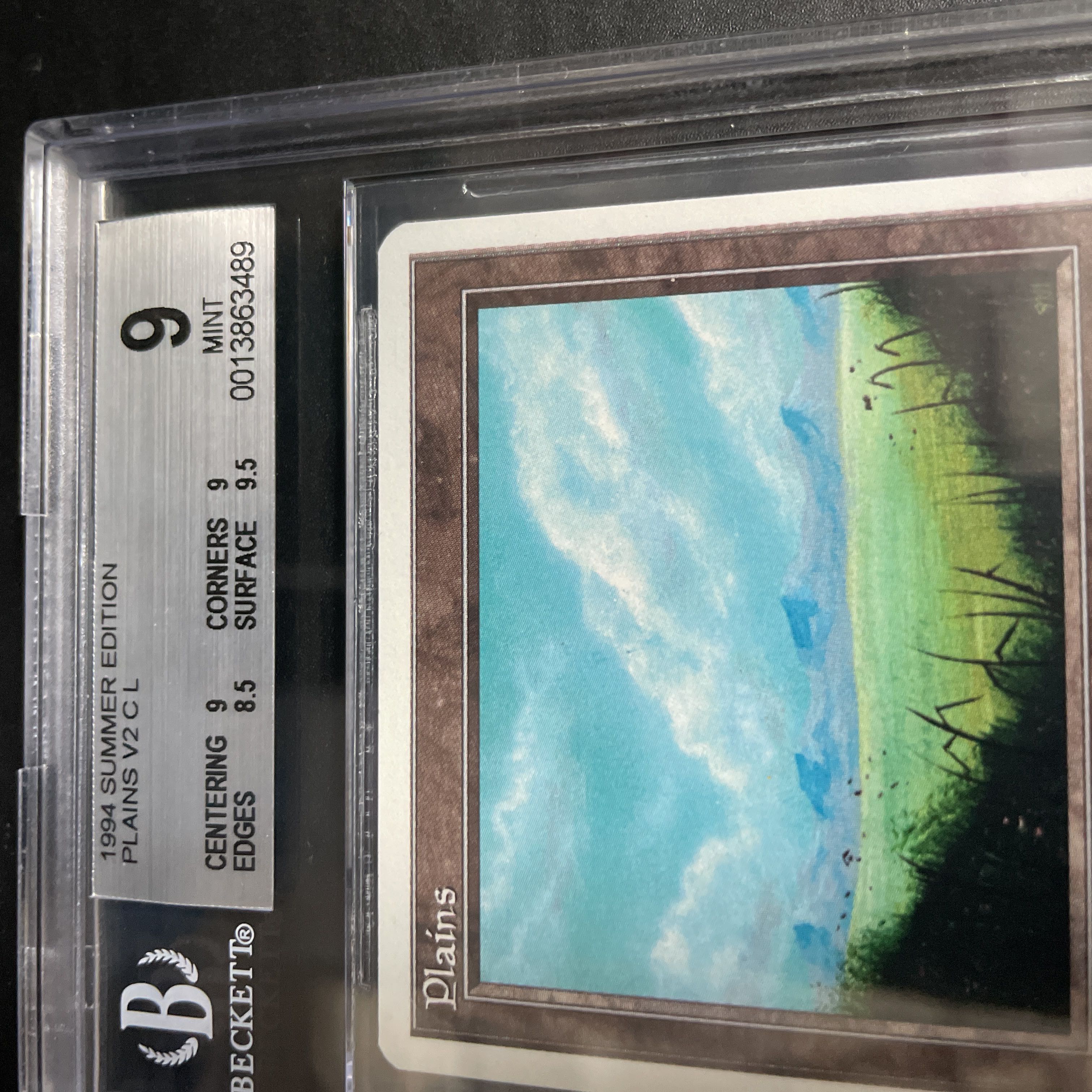 平地/Plains Summer BGS9