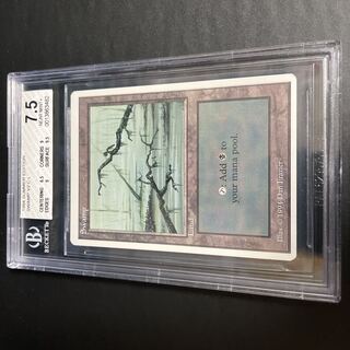 沼/Swamp Summer BGS7.5