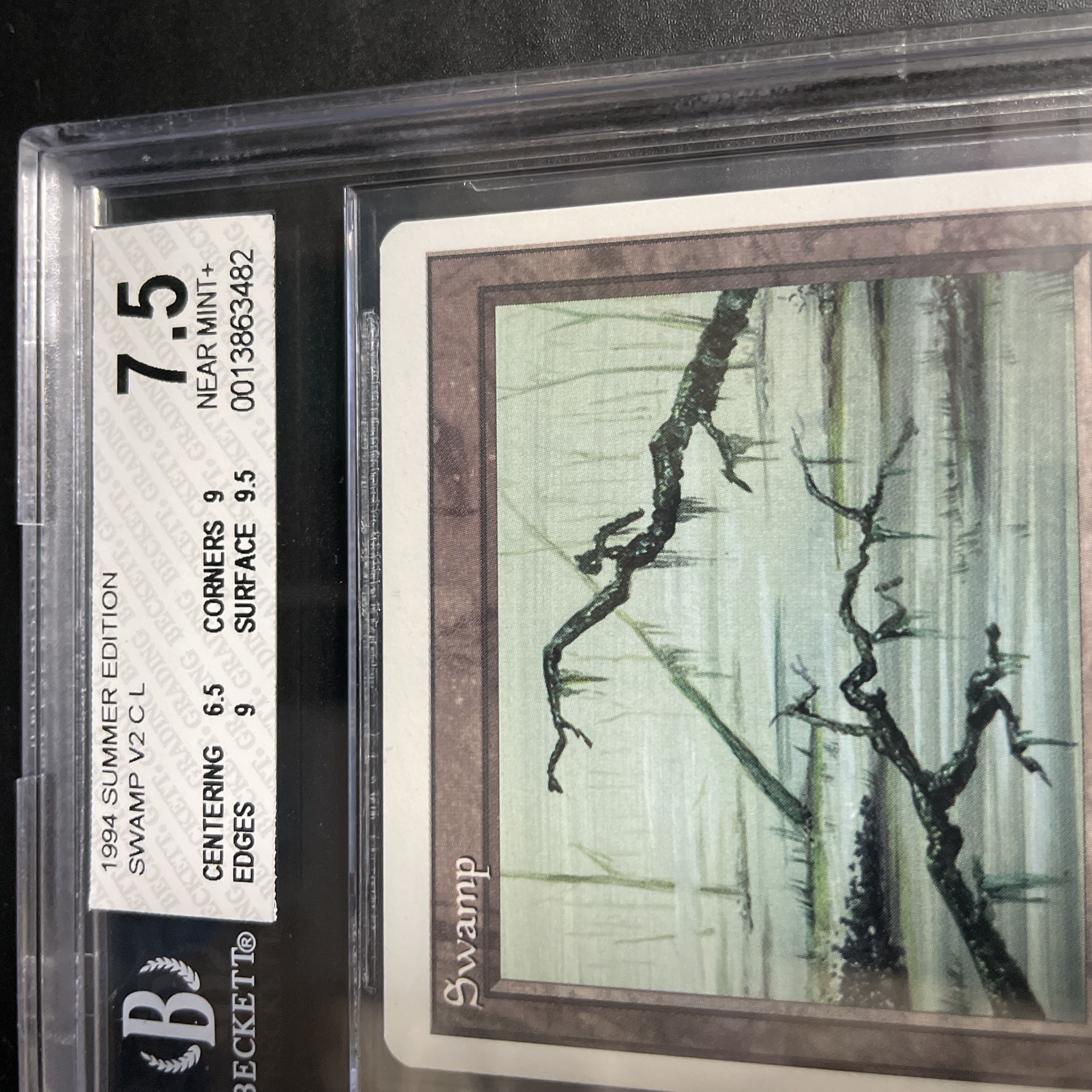 沼/Swamp Summer BGS7.5